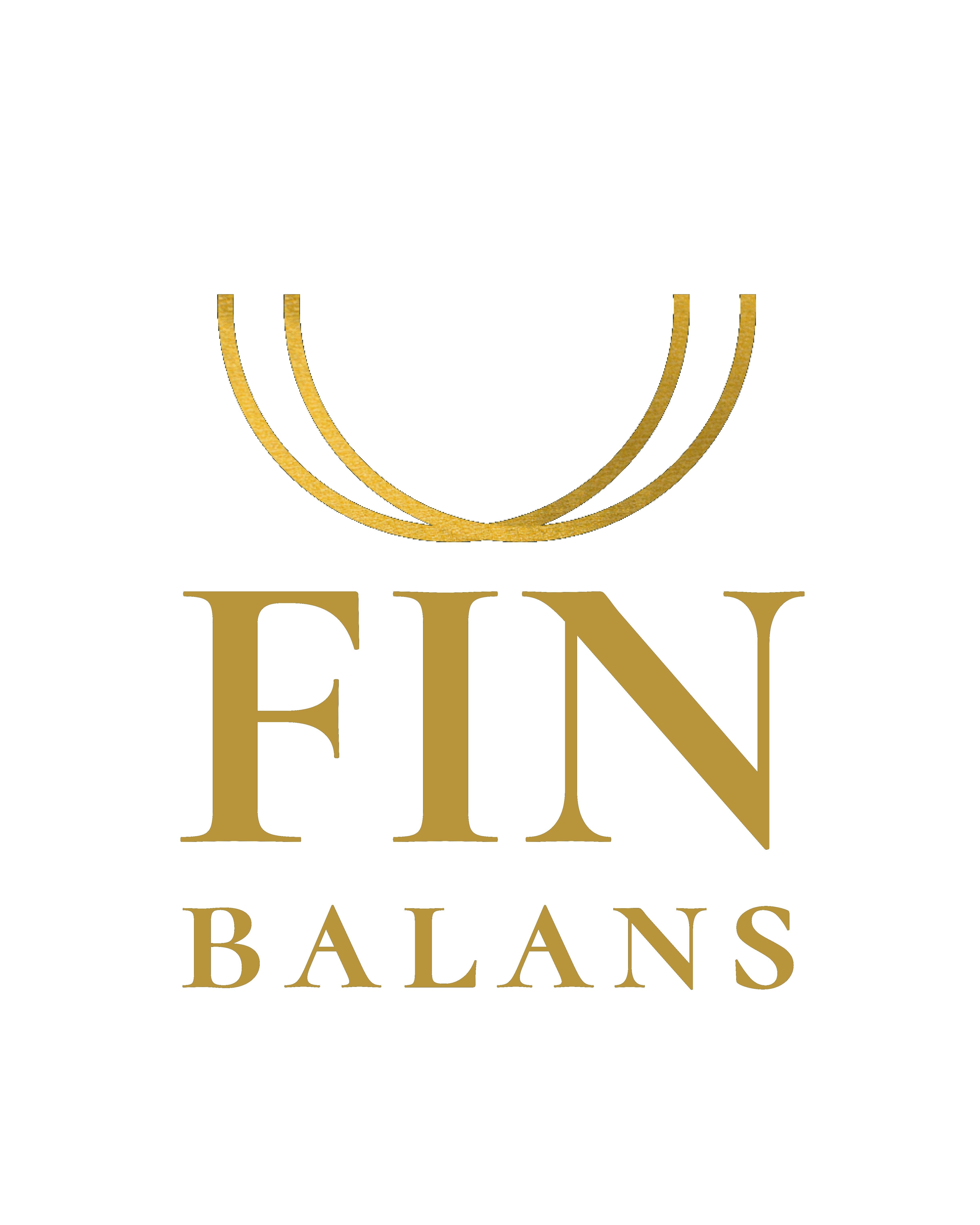 Fin Balans